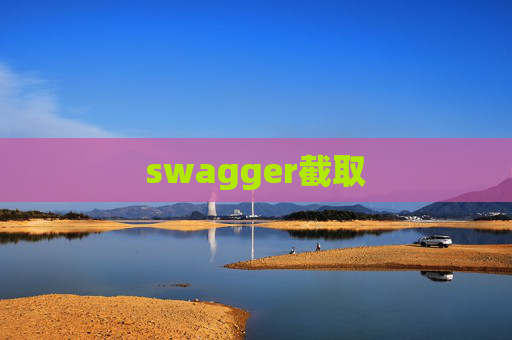 swagger截取